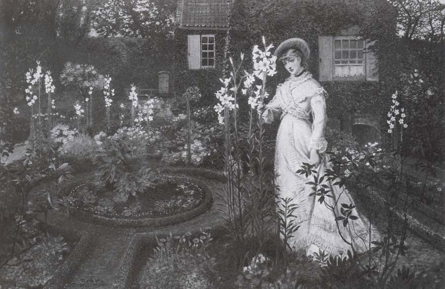 The Rector-s Garden Queen of the Lilies